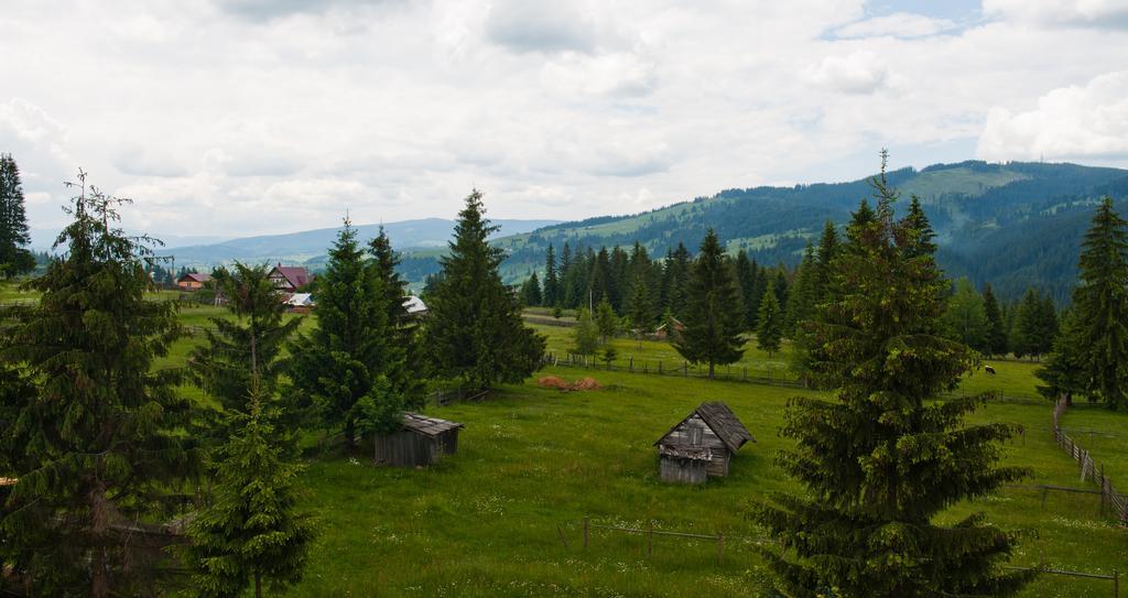 Готель Domeniul Dornei Ватра-Дорней Екстер'єр фото